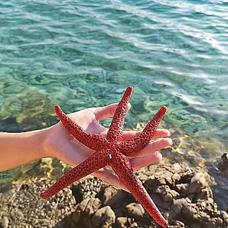 Boskovic Appartement Stari Grad (Hvar)