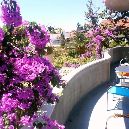 Boskovic Stari Grad (Hvar)