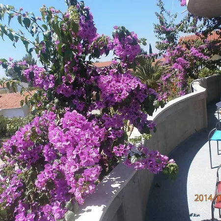 Apartamento Boskovic *