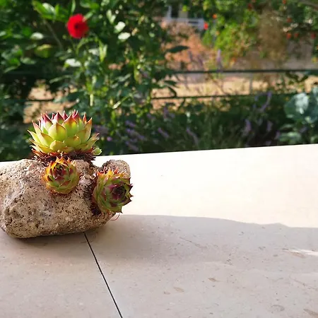 Boskovic Appartement Stari Grad (Hvar)